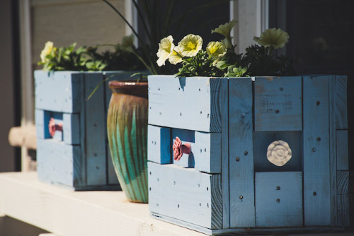 Hand-built blue planters with flowers